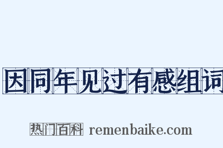 因同年见过有感组词是什么意思的图片